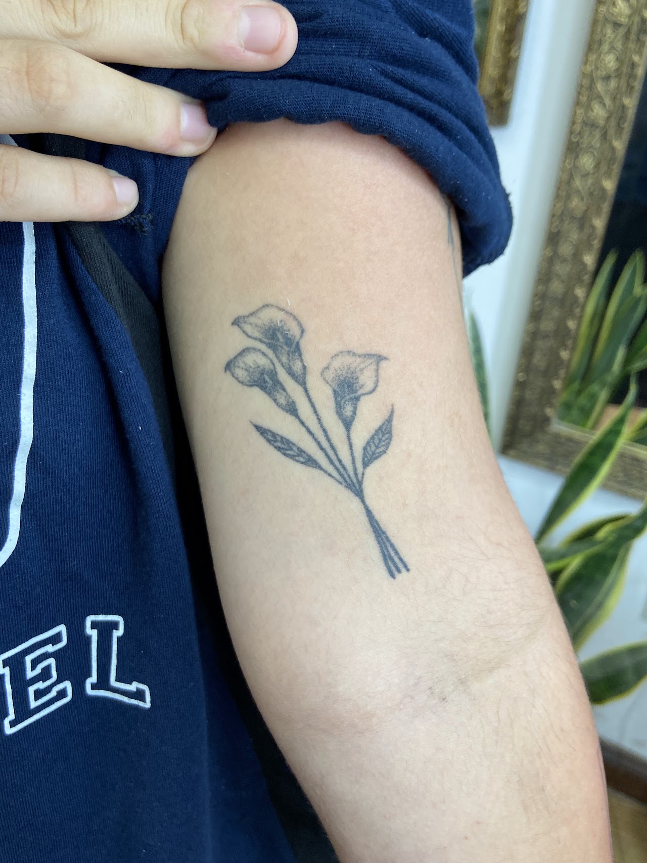 Tatuaje de Mariposa